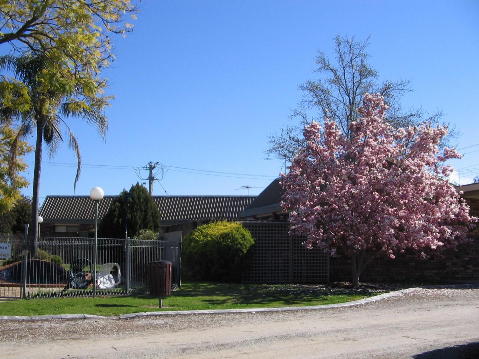 Belvoir Village Motel & Apartments 워동가 외부 사진
